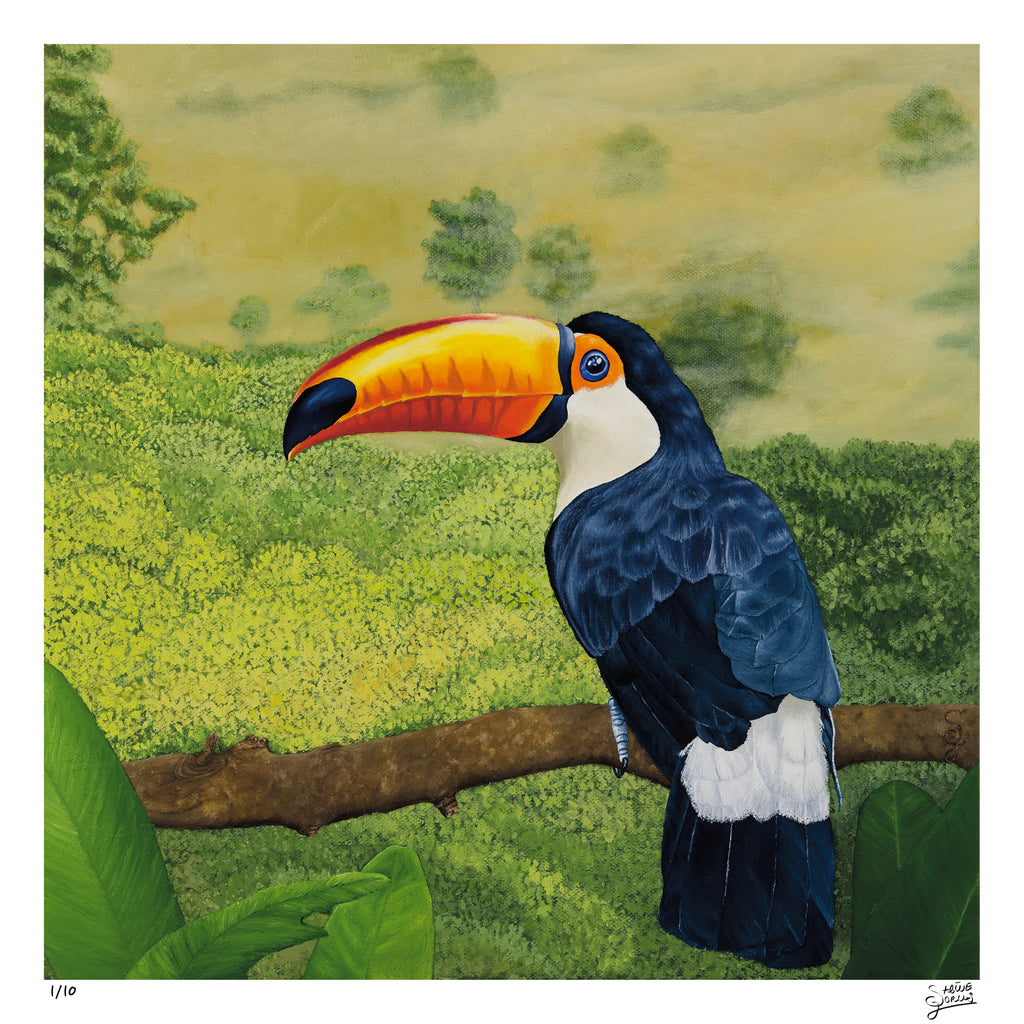 Toucan - Limited Edition - Fine Art Print | Sabine Gorus Art