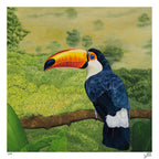 Toucan - Limited Edition - Fine Art Print | Sabine Gorus Art