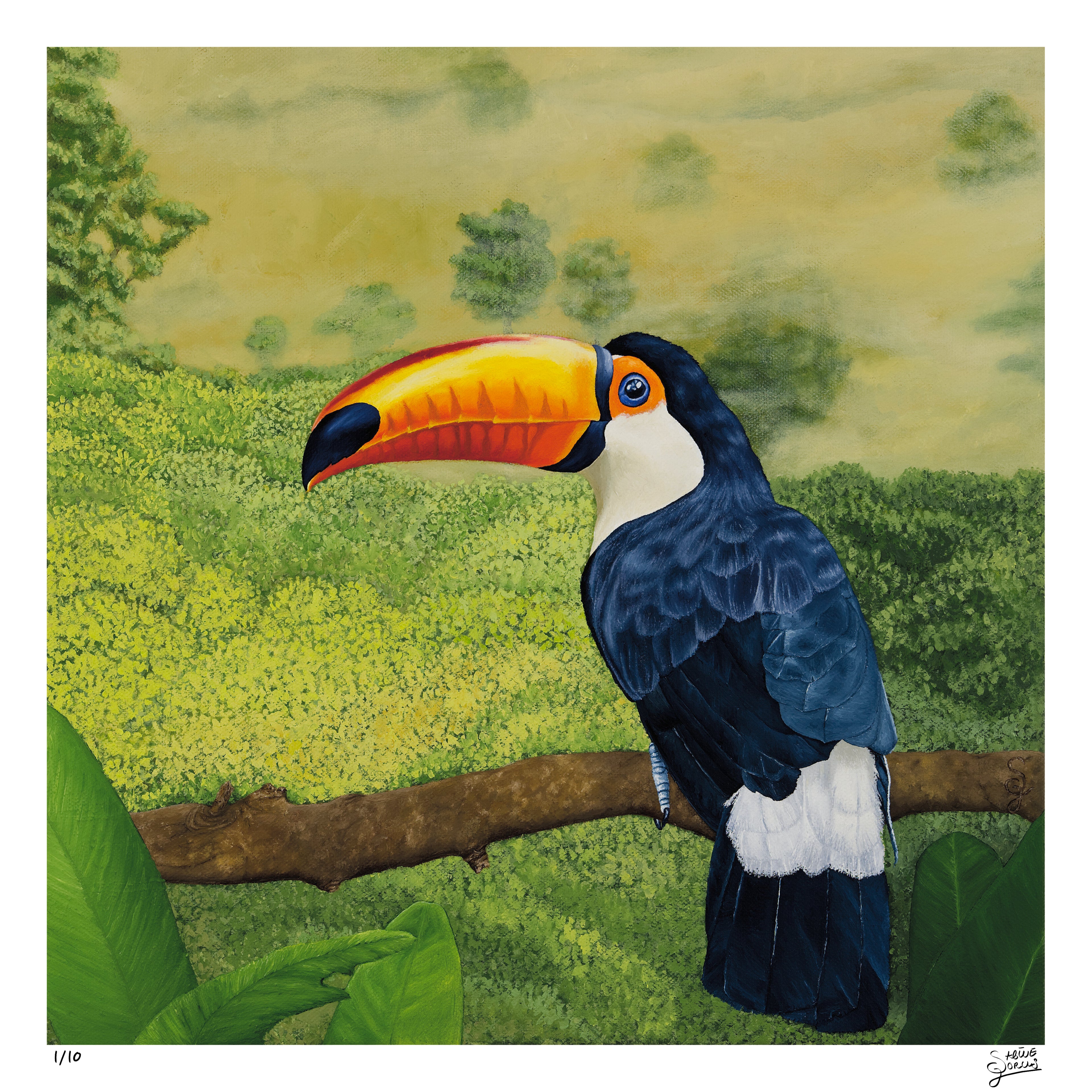 Toucan - Limited Edition - Fine Art Print | Sabine Gorus Art