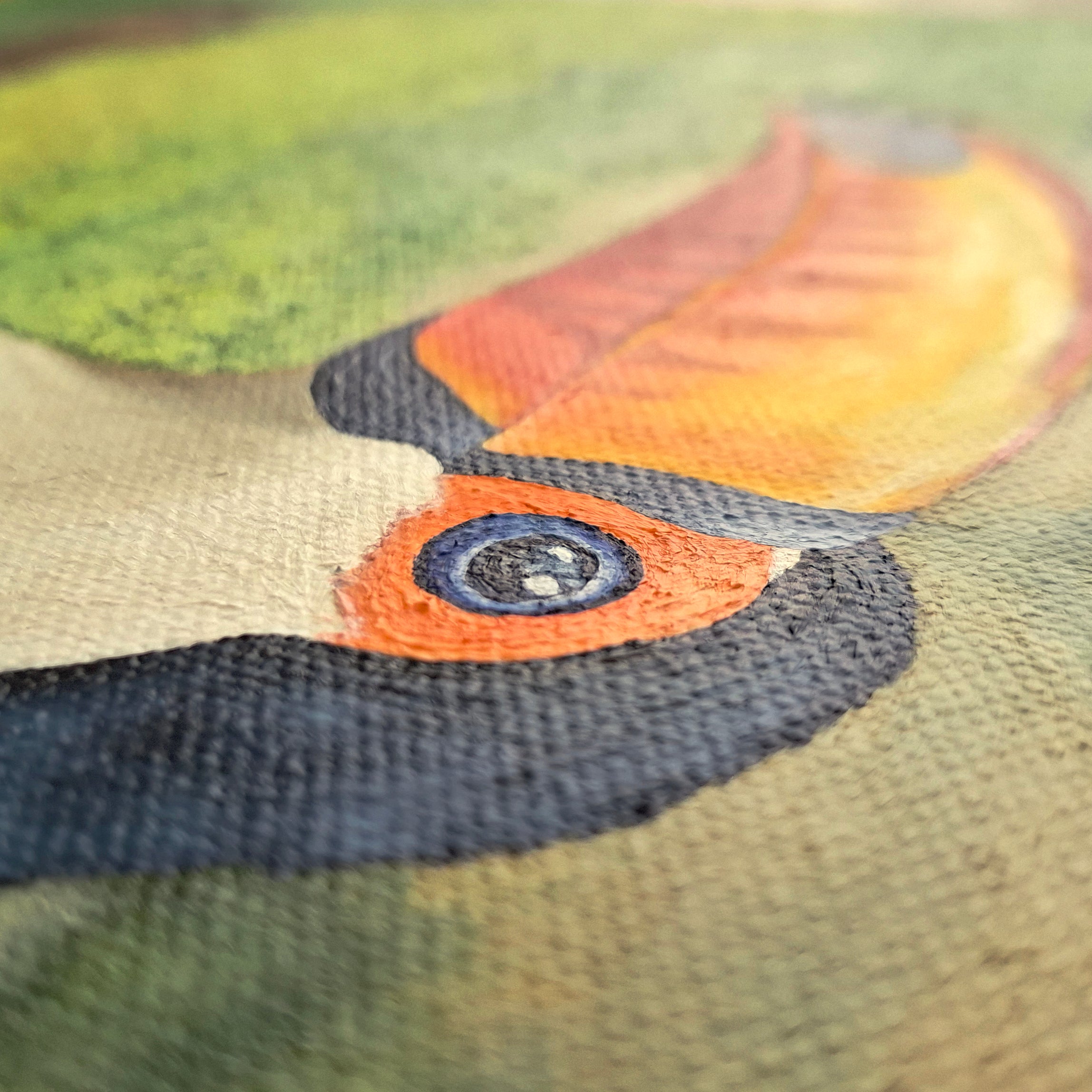 Toucan - Original - Original Artwork | Sabine Gorus Art