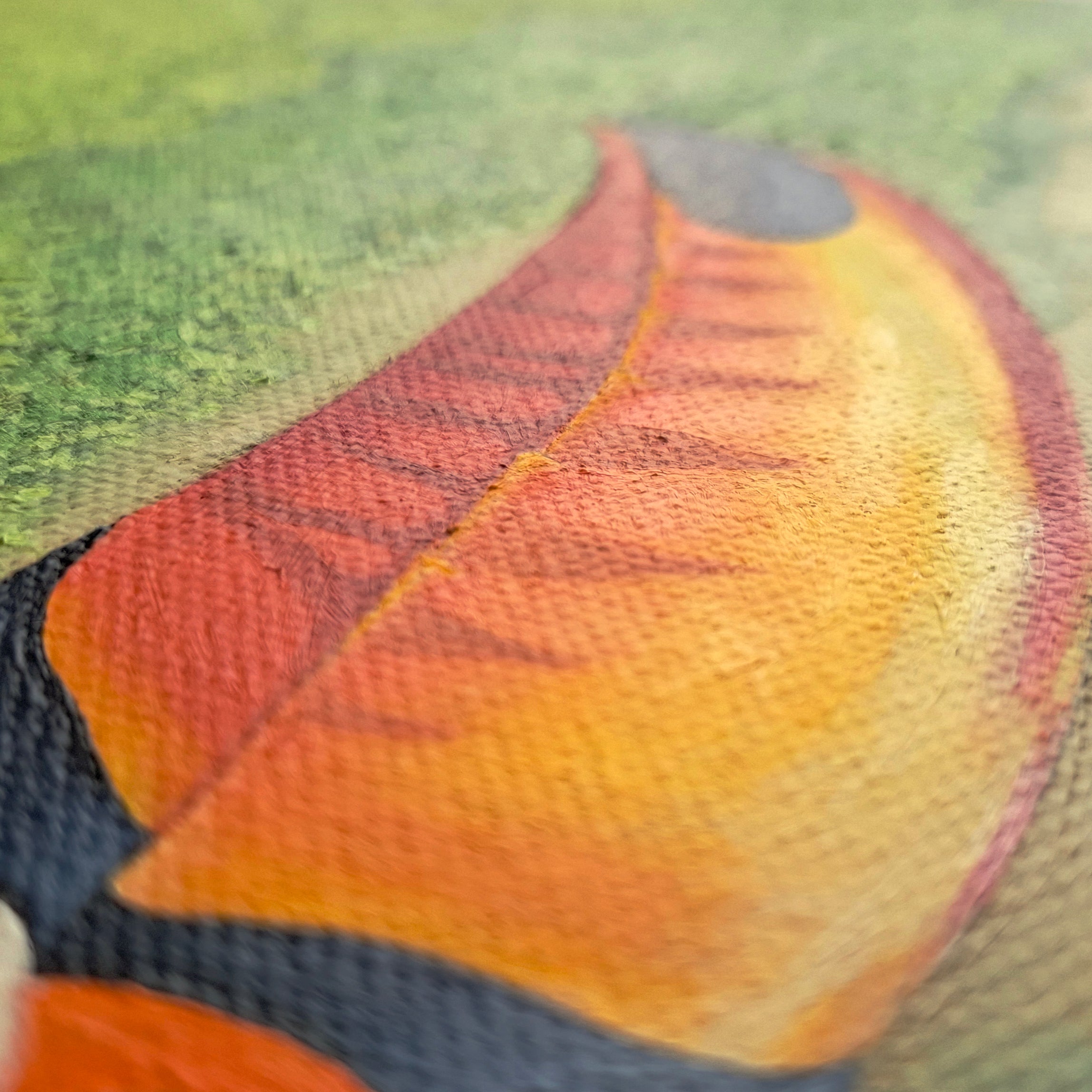 Toucan - Original - Original Artwork | Sabine Gorus Art