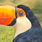 Toucan - Original - Original Artwork | Sabine Gorus Art