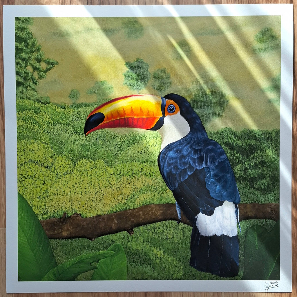 Toucan - Limited Edition - Fine Art Print | Sabine Gorus Art