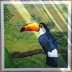 Toucan - Limited Edition - Fine Art Print | Sabine Gorus Art