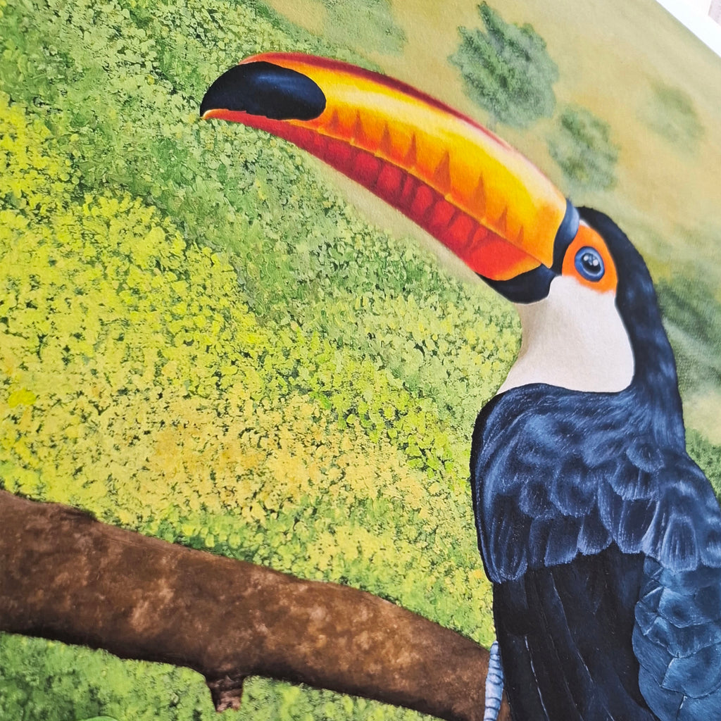 Toucan - Limited Edition - Fine Art Print | Sabine Gorus Art