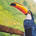 Toucan - Limited Edition - Fine Art Print | Sabine Gorus Art