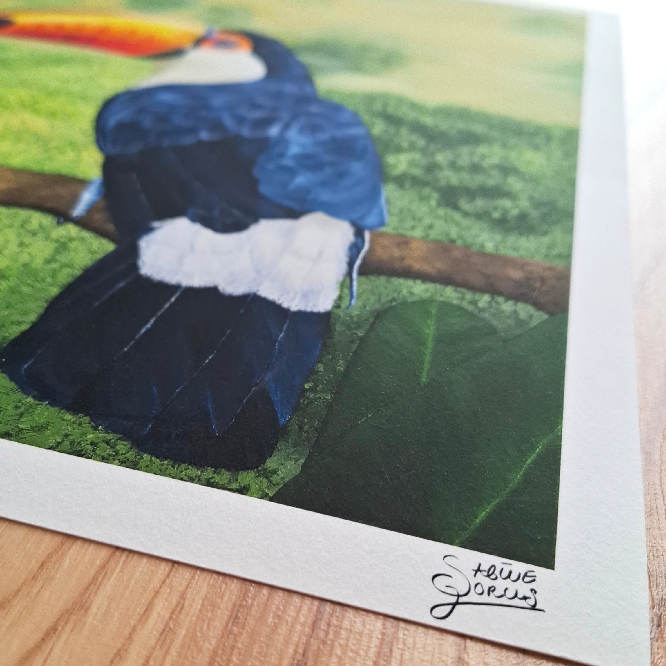 Toucan - Limited Edition - Fine Art Print | Sabine Gorus Art